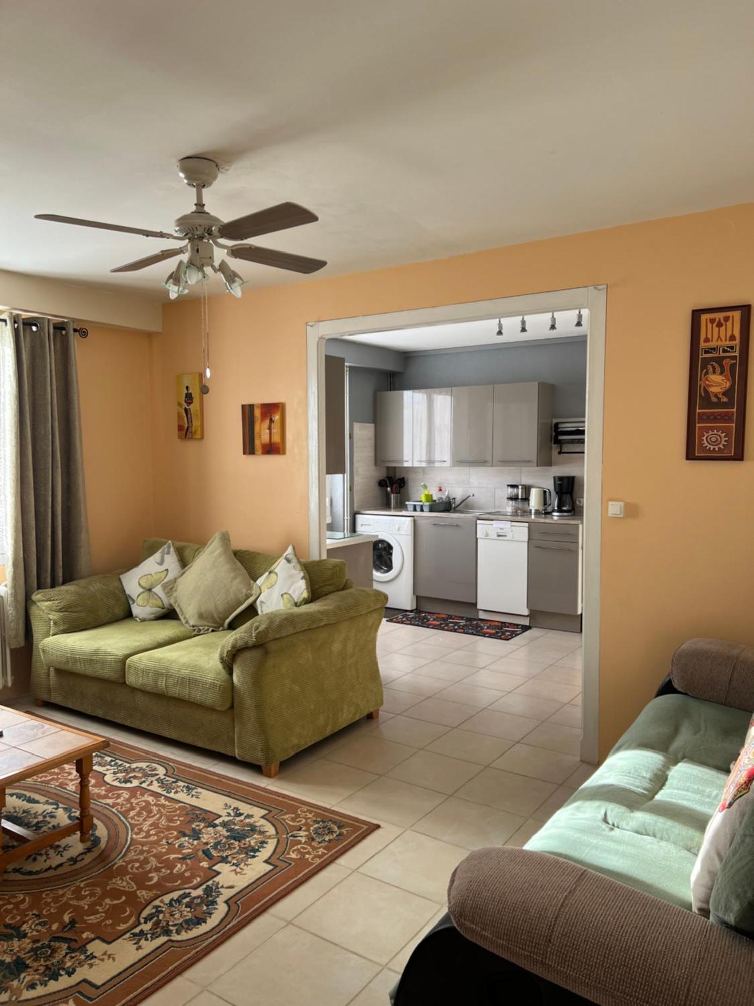 Gite Du St Martin Apartment Oradour-Fanais Bagian luar foto