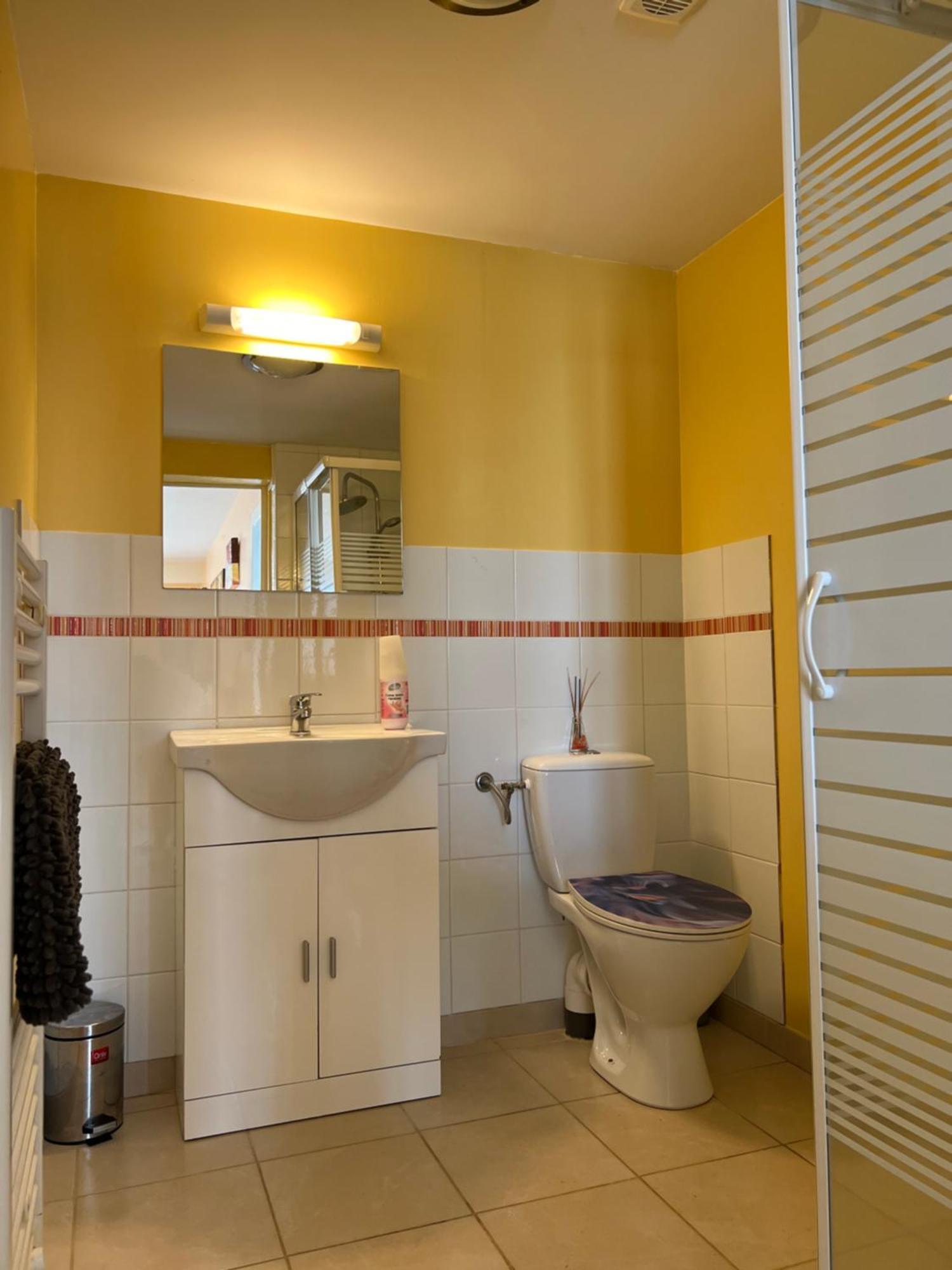 Gite Du St Martin Apartment Oradour-Fanais Bagian luar foto